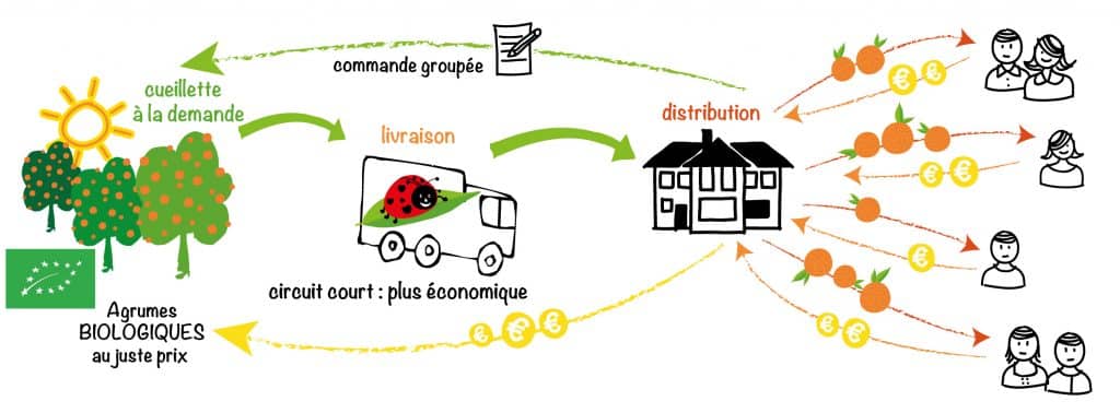 schéma site opération vitamines bio