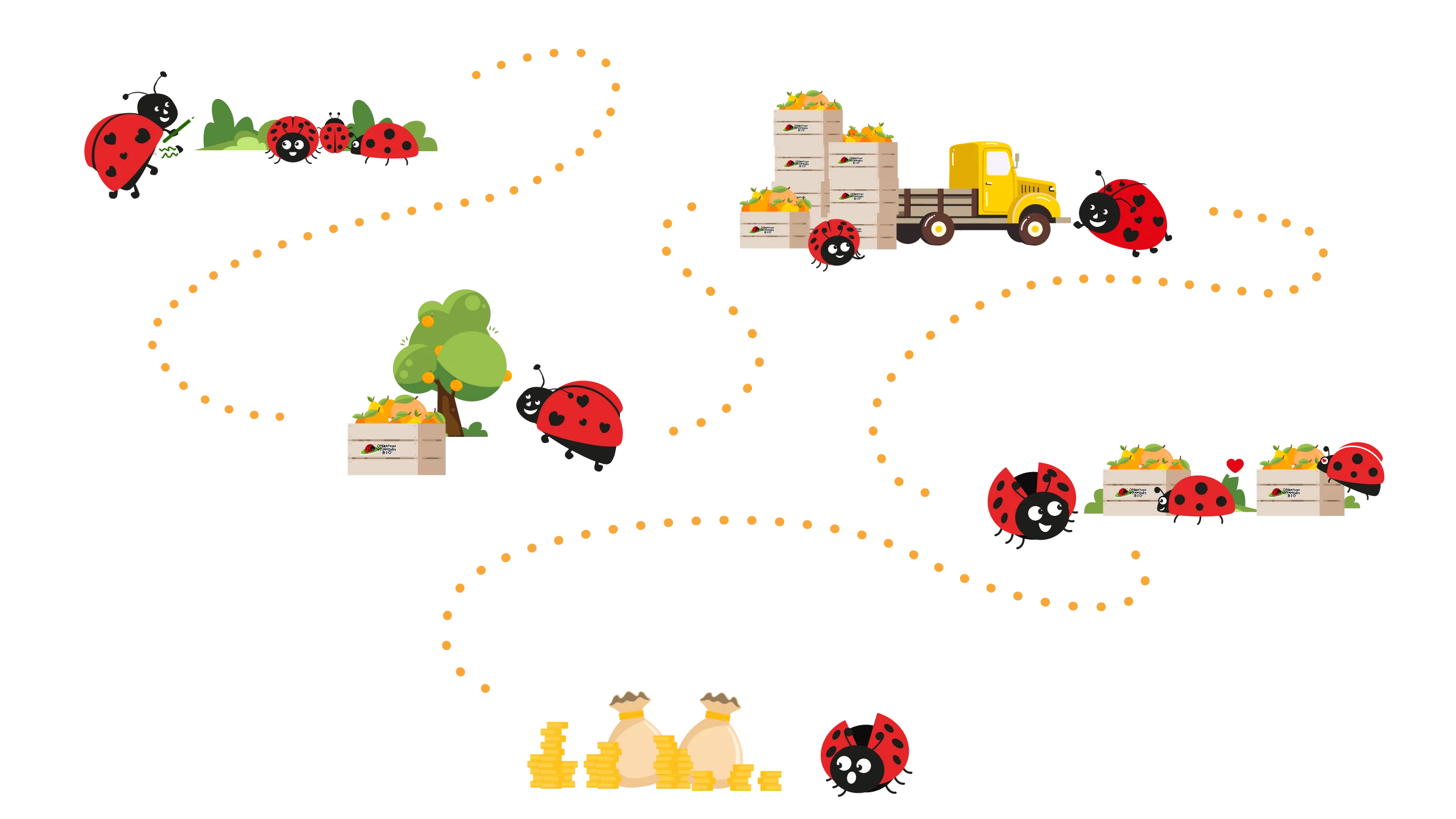 étapes ventes d'agrumes projets associatifs