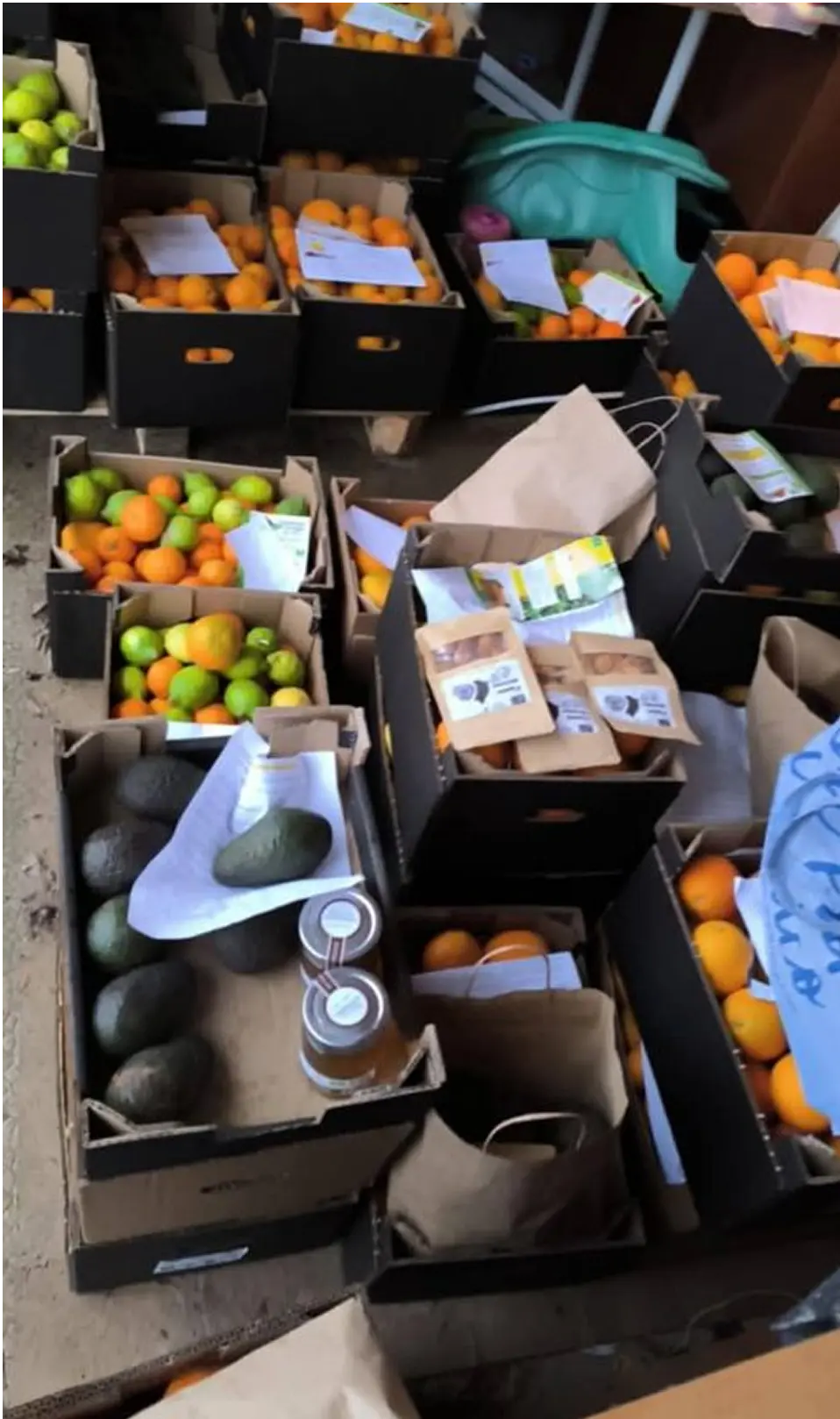 vente fruits bio pour association