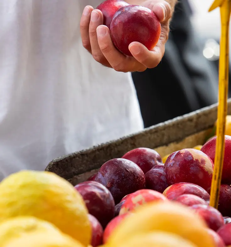 distribution de fruits