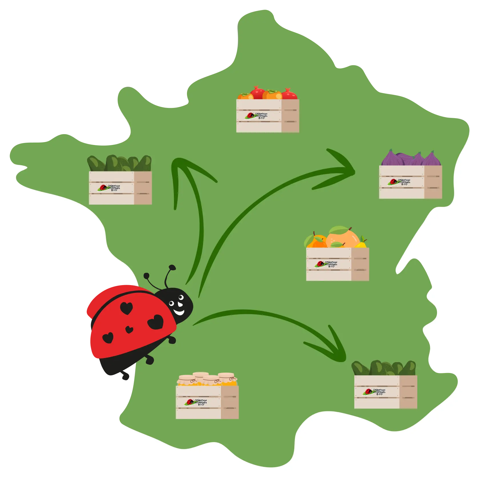 zone d'intervention - opération vitamines bio